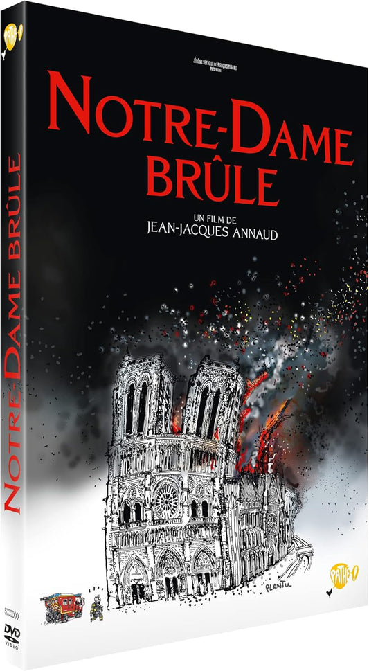 Notre-Dame brûle (DVD)
