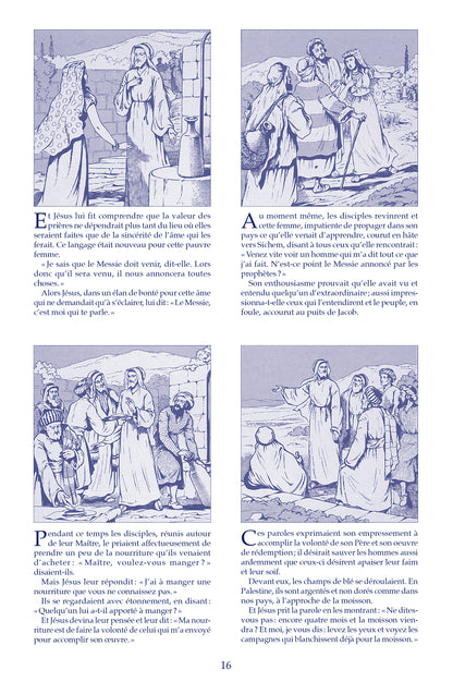 La plus belle histoire (Chemins de lumière n° 20)
